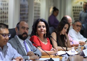 Avala Comisión del Congreso exhorto para mejoramiento de parques, jardines y áreas verdes