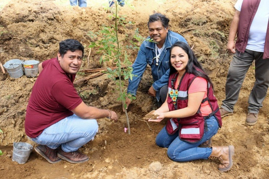 Tonantzin Fernández impulsa acciones ambientales con la jornada “Raíces de Agua” en el Cerro Zapotecas