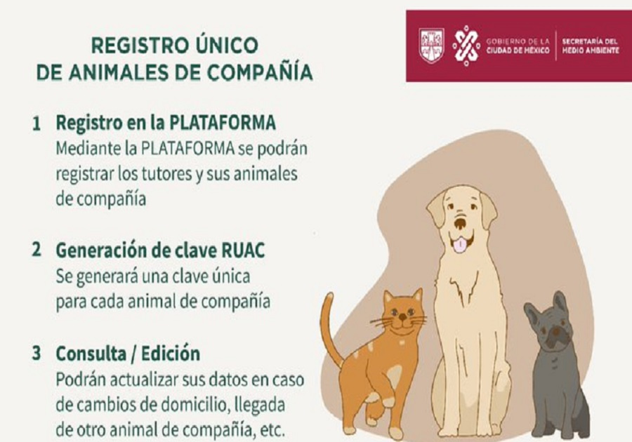 Registro de mascotas 