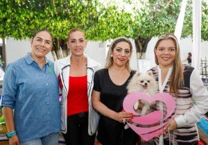Impulsa SEDIF acciones para bienestar y protección de seres sintientes