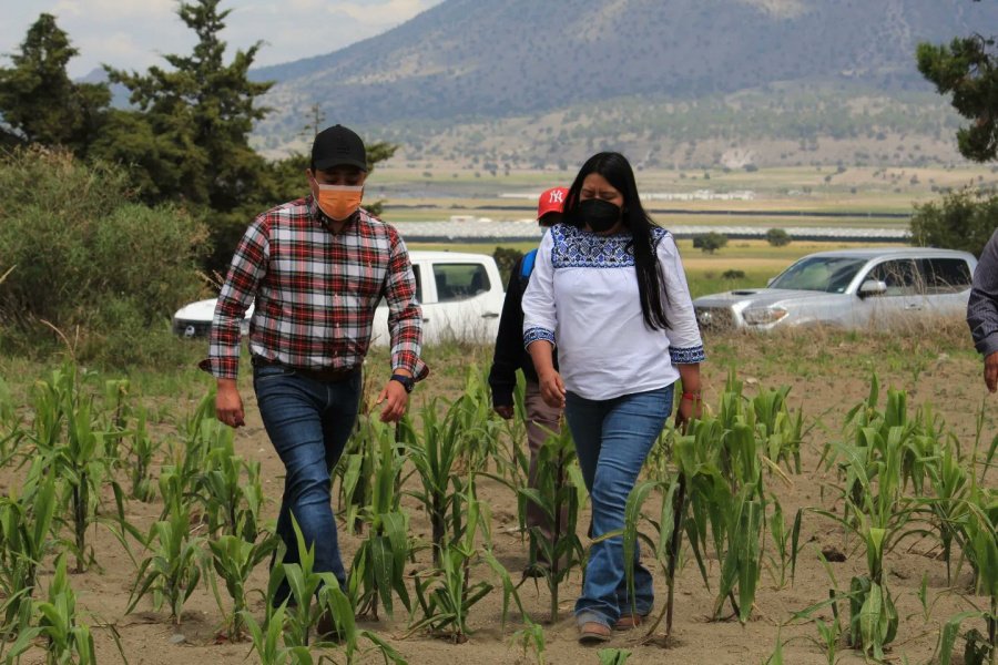 Con vinculación y acompañamiento, SDR fortalece a productores poblanos