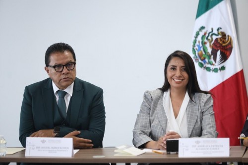 Comisión del Congreso avala propuesta para fortalecer cultura vial en las escuelas