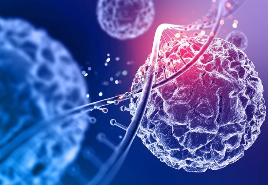 Estructura biotecnológica
