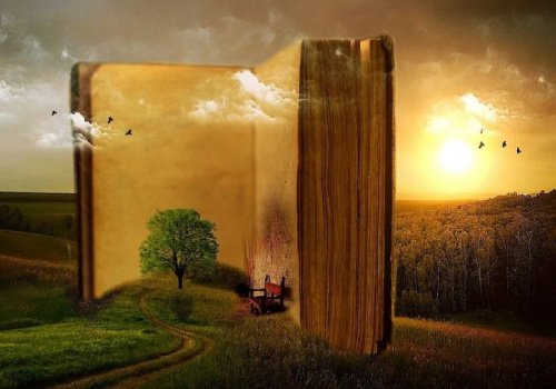 Book