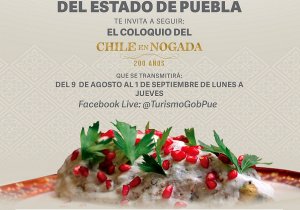 Cartel coloquio chile en nogada