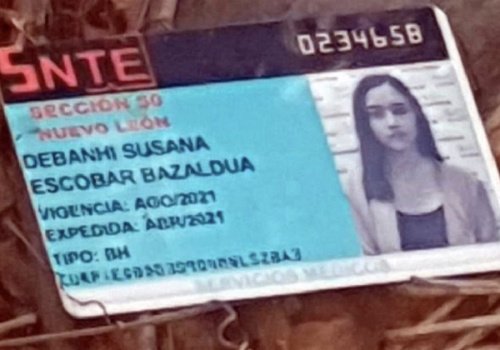 Debanhi Escobar credencial 