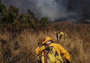 Establece gobierno de Puebla estrategias ante ola de calor y sequía