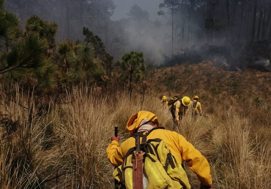 Establece gobierno de Puebla estrategias ante ola de calor y sequía