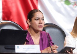 Participa Lupita Cuautle en foros del Congreso de la Unión