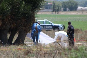 Comisión de Búsqueda y FGE trabajan en terrenos de Palmar de Bravo