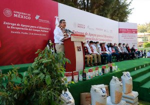 Cambiar la vida de las personas, objetivo de los tres órdenes de gobierno: Céspedes Peregrina