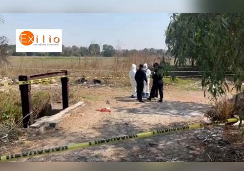 Escena del crimen ilustraci&oacute;n 