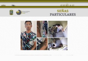 Detiene FGE a presunto agresor de la perrita “Enedina”