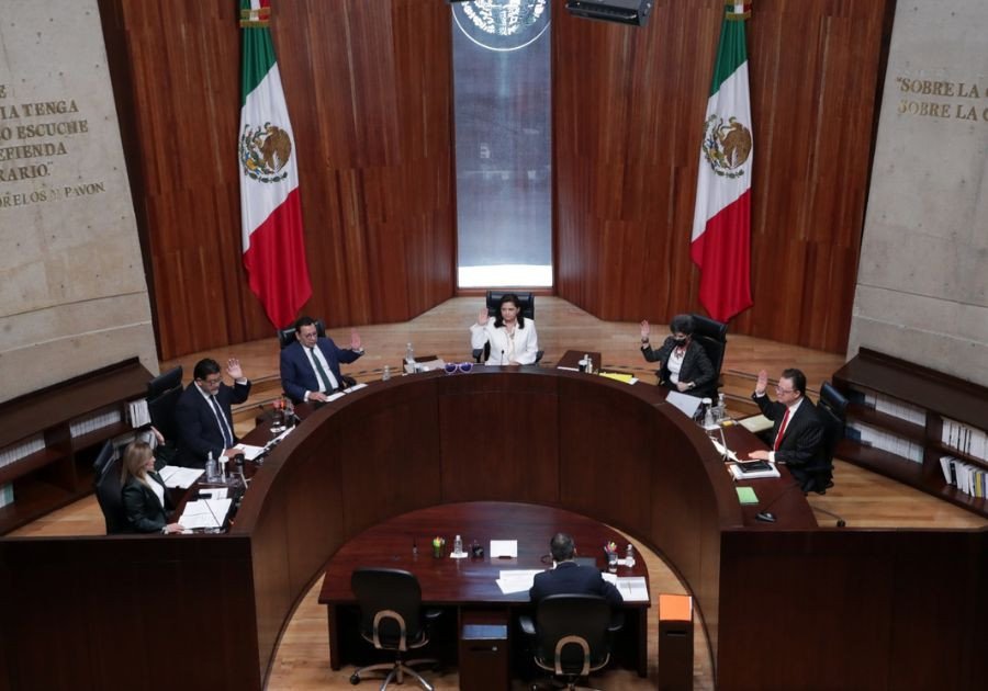 El tribunal militante