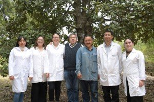 Crean nanomateriales en la BUAP para combatir plagas por gusano barrenador
