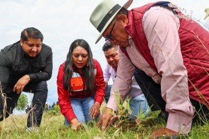 Impulsa Tonantzin Fern&aacute;ndez acciones permanentes de reforestaci&oacute;n en el Cerro Zapotecas