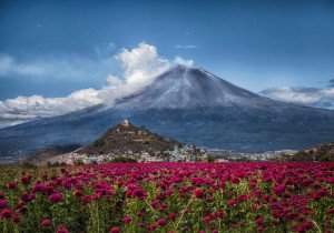 En las últimas 24 horas no se reportan afectados por ceniza del volcán