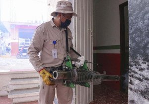 Puebla, sin decesos por dengue: Salud
