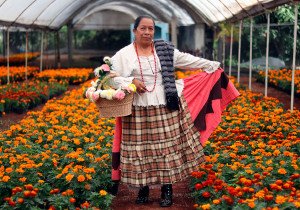 Gobierno de Puebla continuará trabajo a favor de mujeres rurales: Altamirano