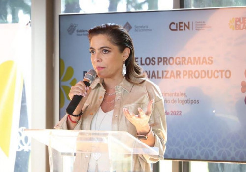 Anuncia Econom&iacute;a descuentos a peque&ntilde;as y medianas empresas por Buen Fin