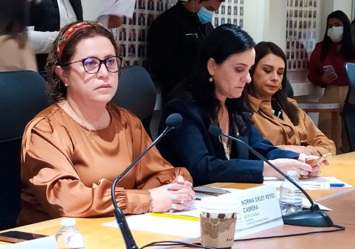 Acude secretaria Ejecutiva del Consejo Estatal de Coordinaci&oacute;n del SNSP al Congreso del Estado