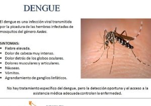 Dengue