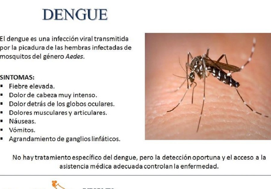 Dengue