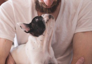 Perrijos y gatijos en lugar de hijos humanos, ¿cuál es el @#√!&amp;* problema?