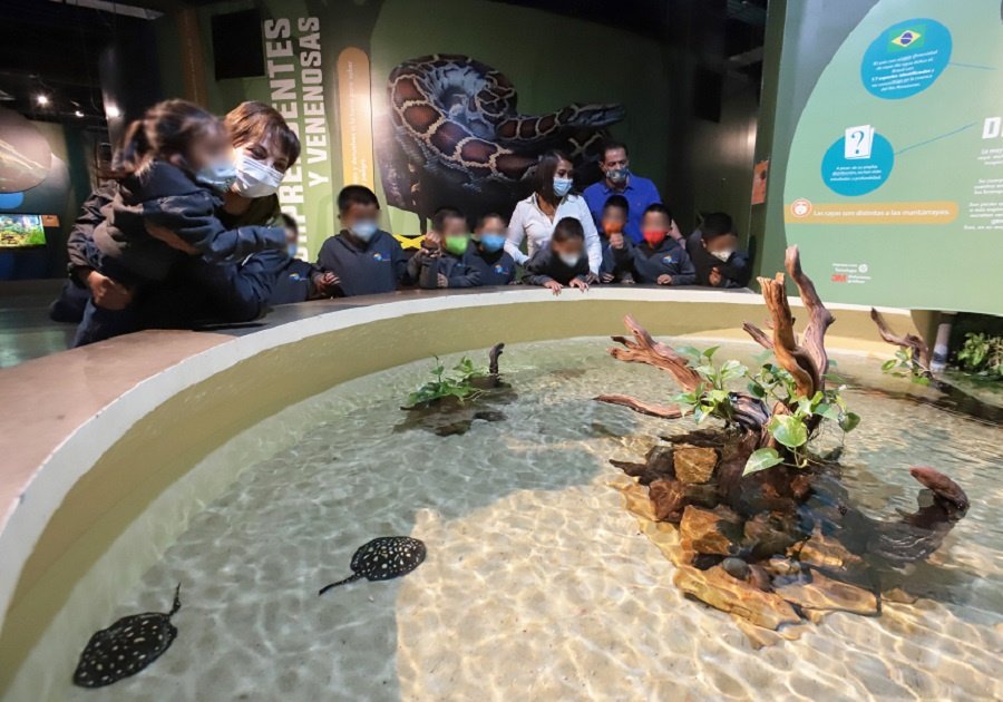 SEDIF niños Acuario Michin 