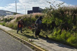 Mantiene Tonantzin Fernández trabajo constante en el mejoramiento de parques y áreas verdes