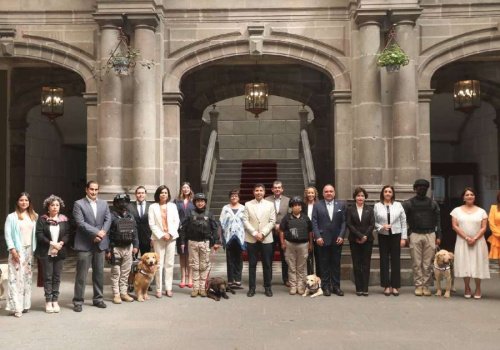 Adoptan a 16 perros policía que fueron jubilados