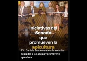 TV | Daniela Bueno se une a la iniciativa de cuidar a las abejas y promover la apicultura