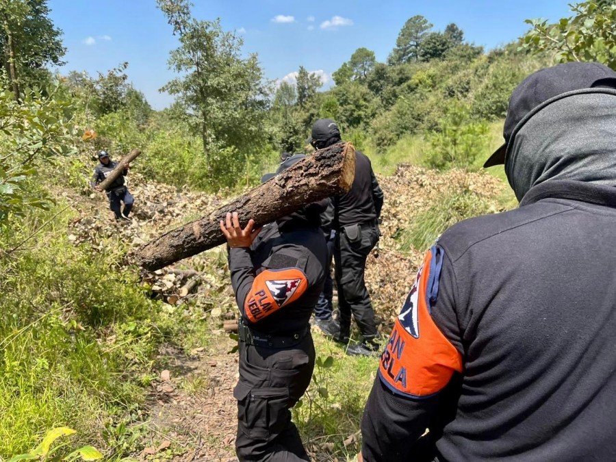Aseguran Polic&iacute;a Forestal de Puebla y de Monta&ntilde;a de Tlaxcala hornos clandestinos de madera